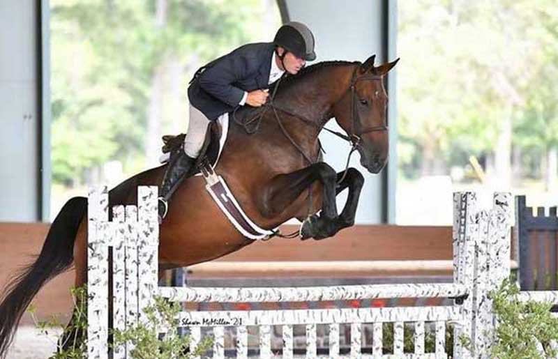 Stable View Summer Classic I Derby. 