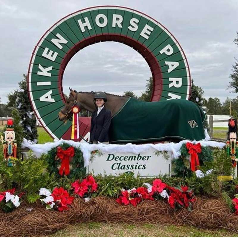 Christmas - DFG Stables.