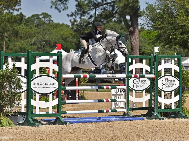 DFG Stables. 